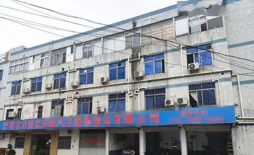 東莞一工廠遭遇“螞蟻搬家式”盜竊，12萬元清真食品不翼而飛，疑有內鬼參與