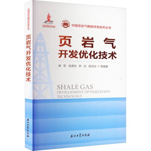 頁巖氣開發(fā)優(yōu)化技術(shù) 謝軍 等 編 交通/運輸專業(yè)科技 新華書店正版圖書