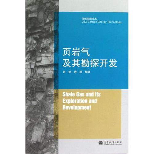 頁巖氣及其勘探開發/低碳能源技術 肖鋼,唐穎編著 著作 石油 天然氣工