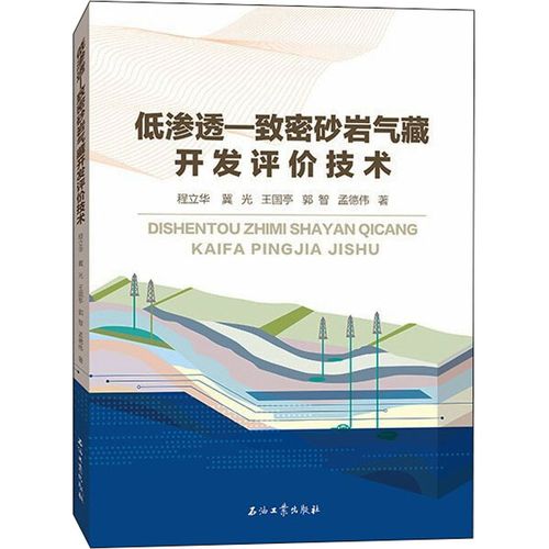 低滲透-致密砂巖氣藏開發(fā)評價技術(shù) 程立華 等 著 地球物理學專業(yè)科技